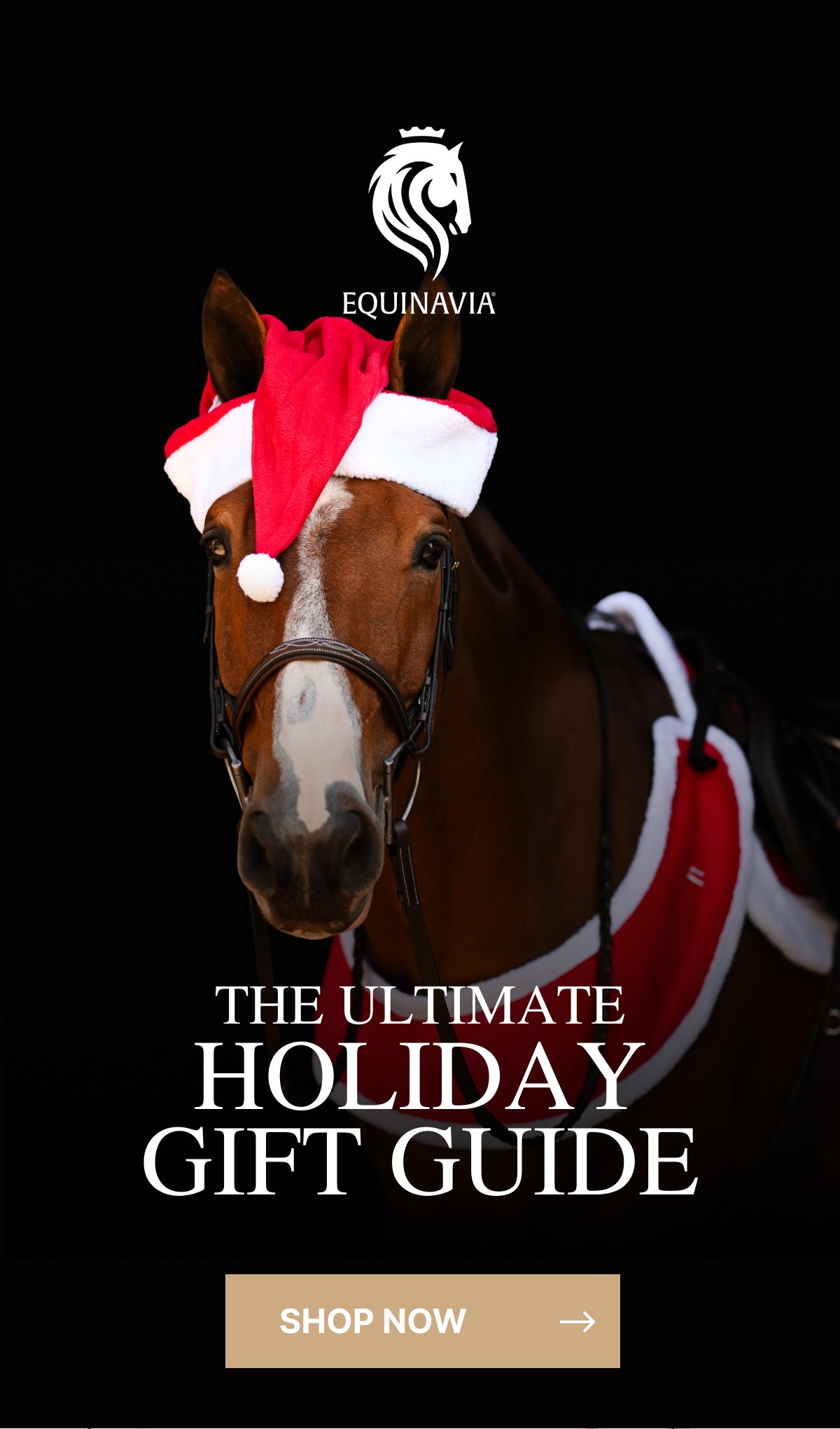 The Ultimate Holiday Gift Guide. Shop Now