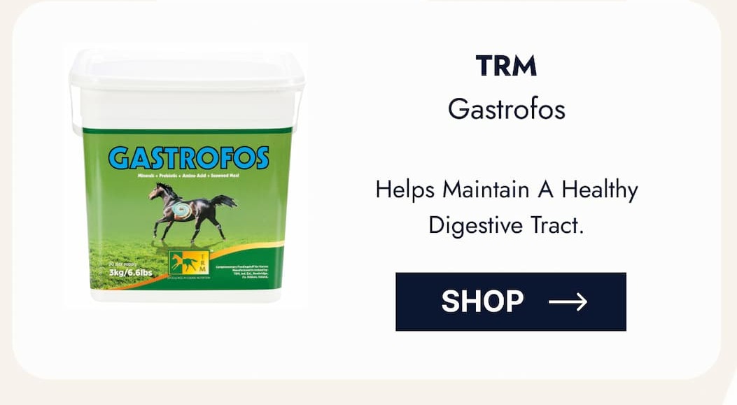 TRM Gastrofos. Helps maintain a healthy digestive tract. Shop