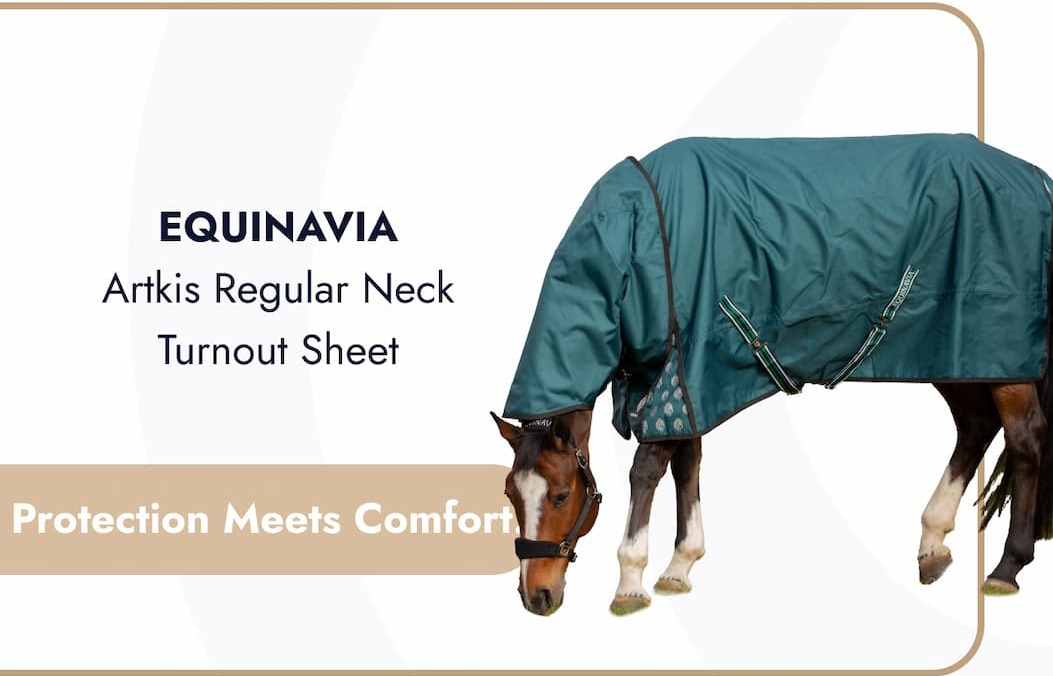 Equinavia Arktis Regular Neck Turnout Sheet. Protection Meets Comfort.