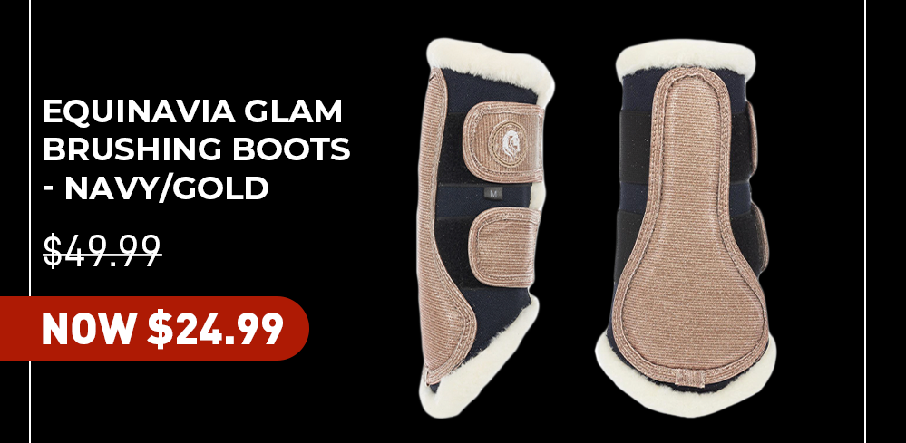 Equinavia Glam Brushing Boots - Navy/Gold