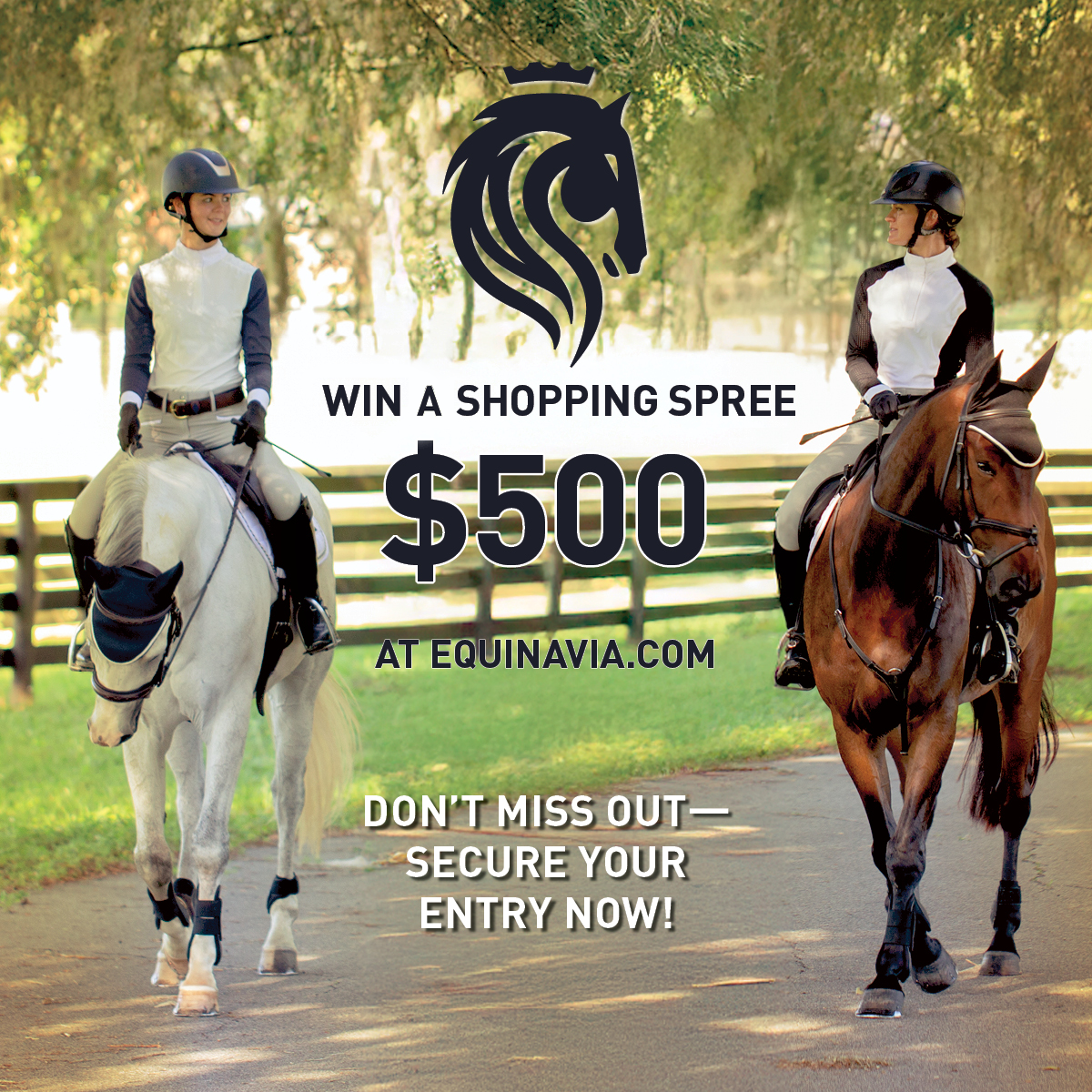 Win a $500 Shopping Spree