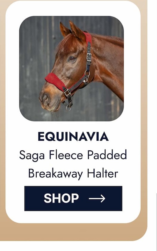 Equinavia Saga Fleece Padded Breakaway Halter. Shop