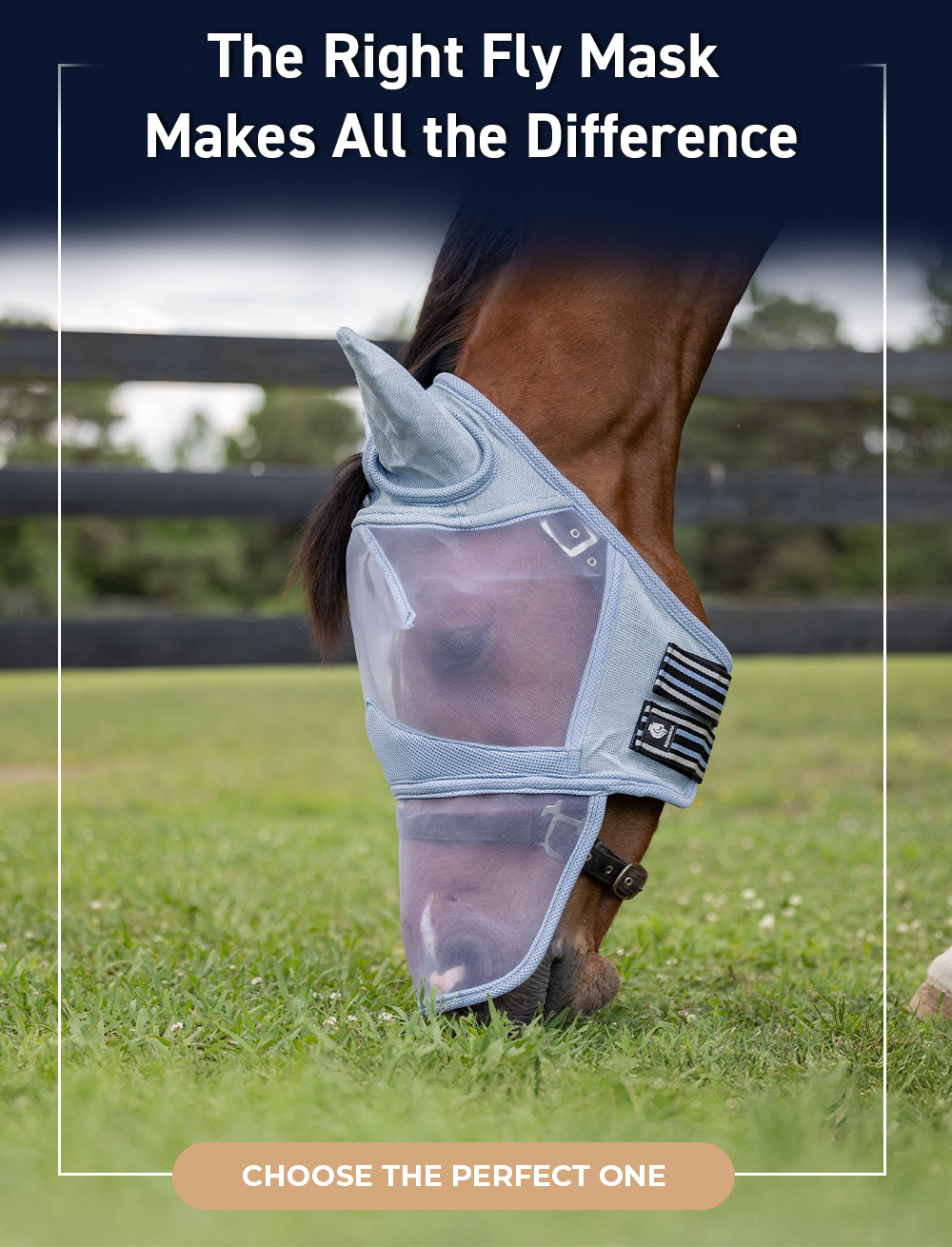 The Right Fly Mask Makes All the Difference