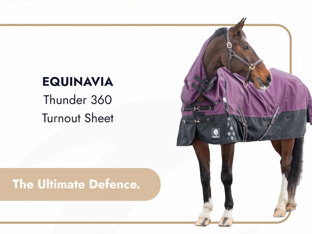 Equinavia Thunder 360 Turnout Sheet. The Ultimate Defence.