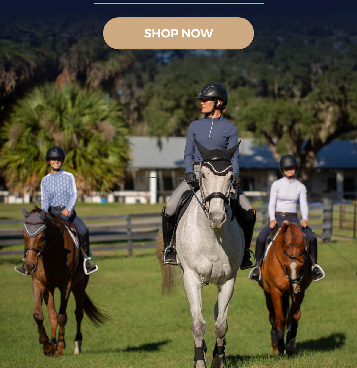 SHOP NOW
