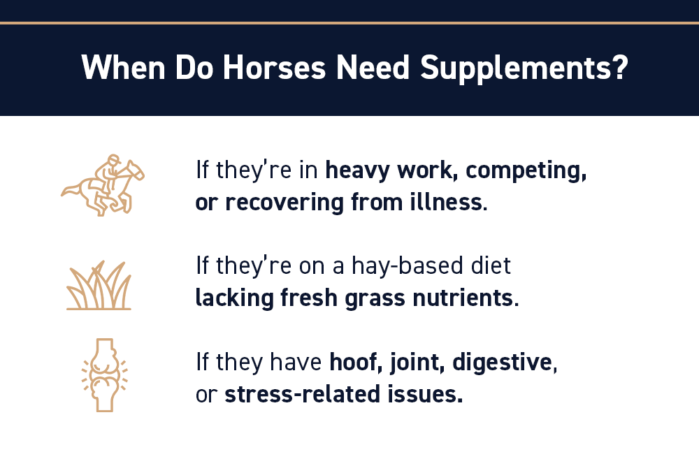 When Do Horses Need Supplements?