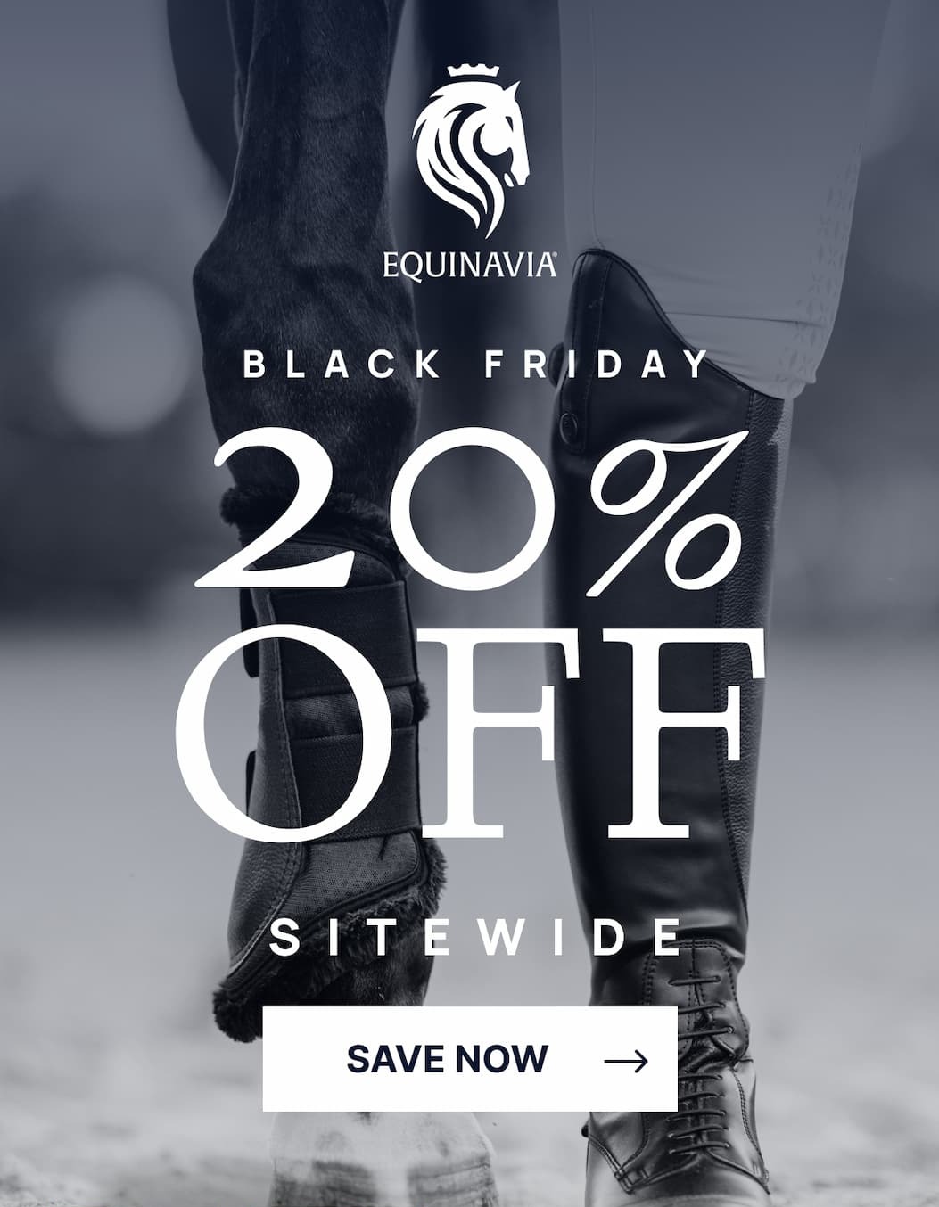 Black Friday - 20% OFF SITEWIDE