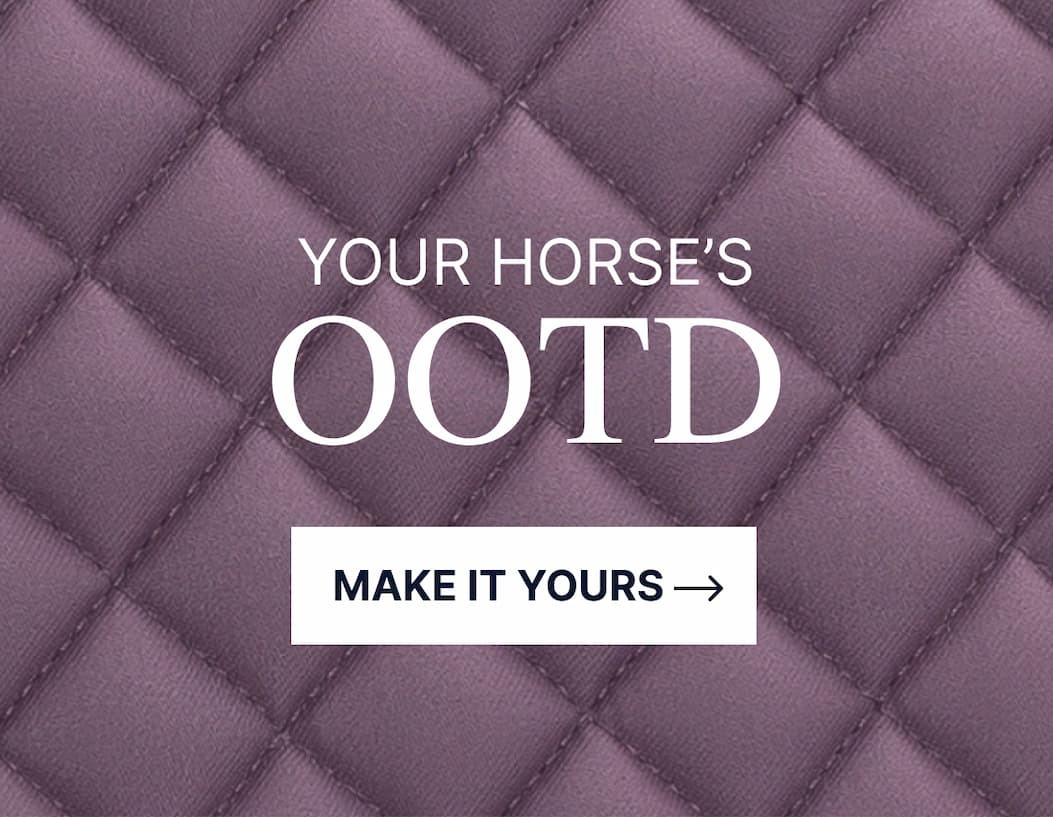 Your horse's OOTD. Make it yours. 