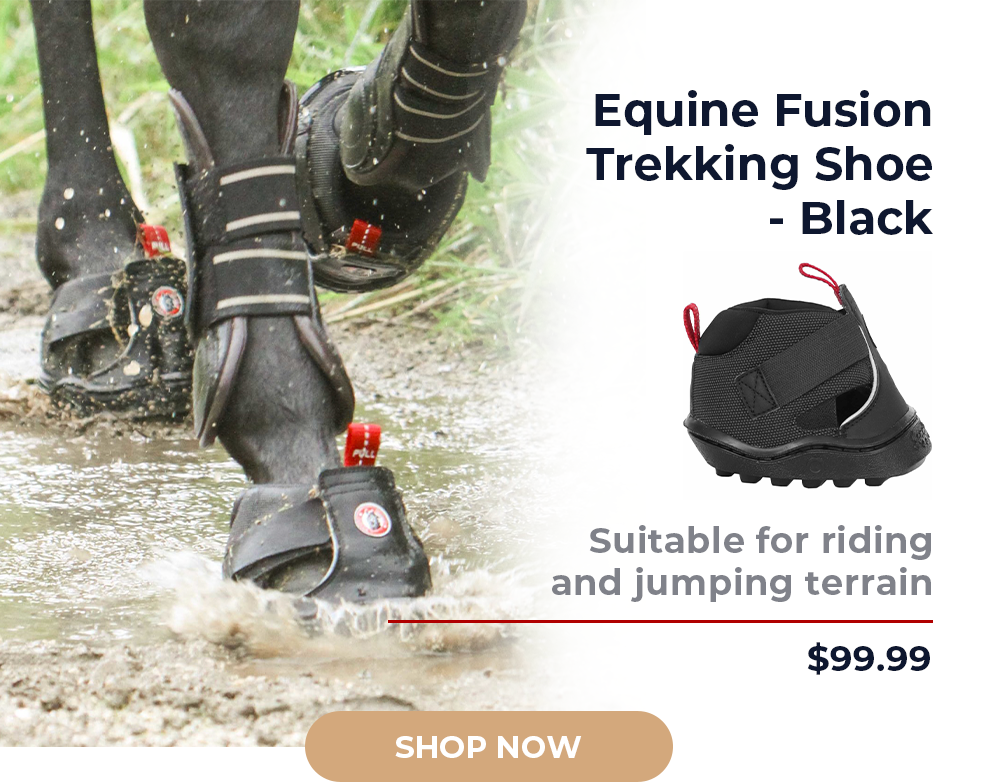 Equine Fusion Trekking Shoe - Black