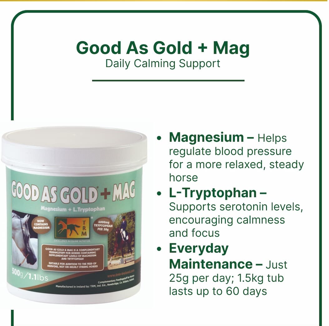 Good As Gold + Mag: Daily Calming Support. Magnesium – Helps regulate blood pressure for a more relaxed, steady horse L-Tryptophan – Supports serotonin levels, encouraging calmness and focus Everyday Maintenance – Just 25g per day; 1.5kg tub lasts up to 60 days. 