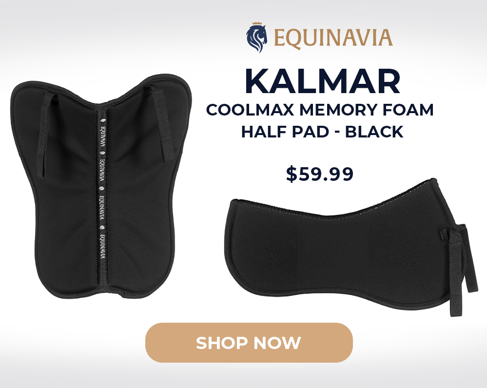 Equinavia Kalmar CoolMax Memory Foam Half Pad - Black
