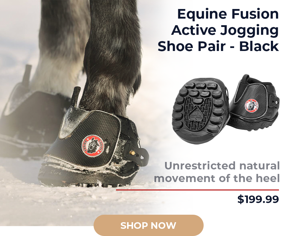 Equine Fusion Active Jogging Shoe Pair - Black