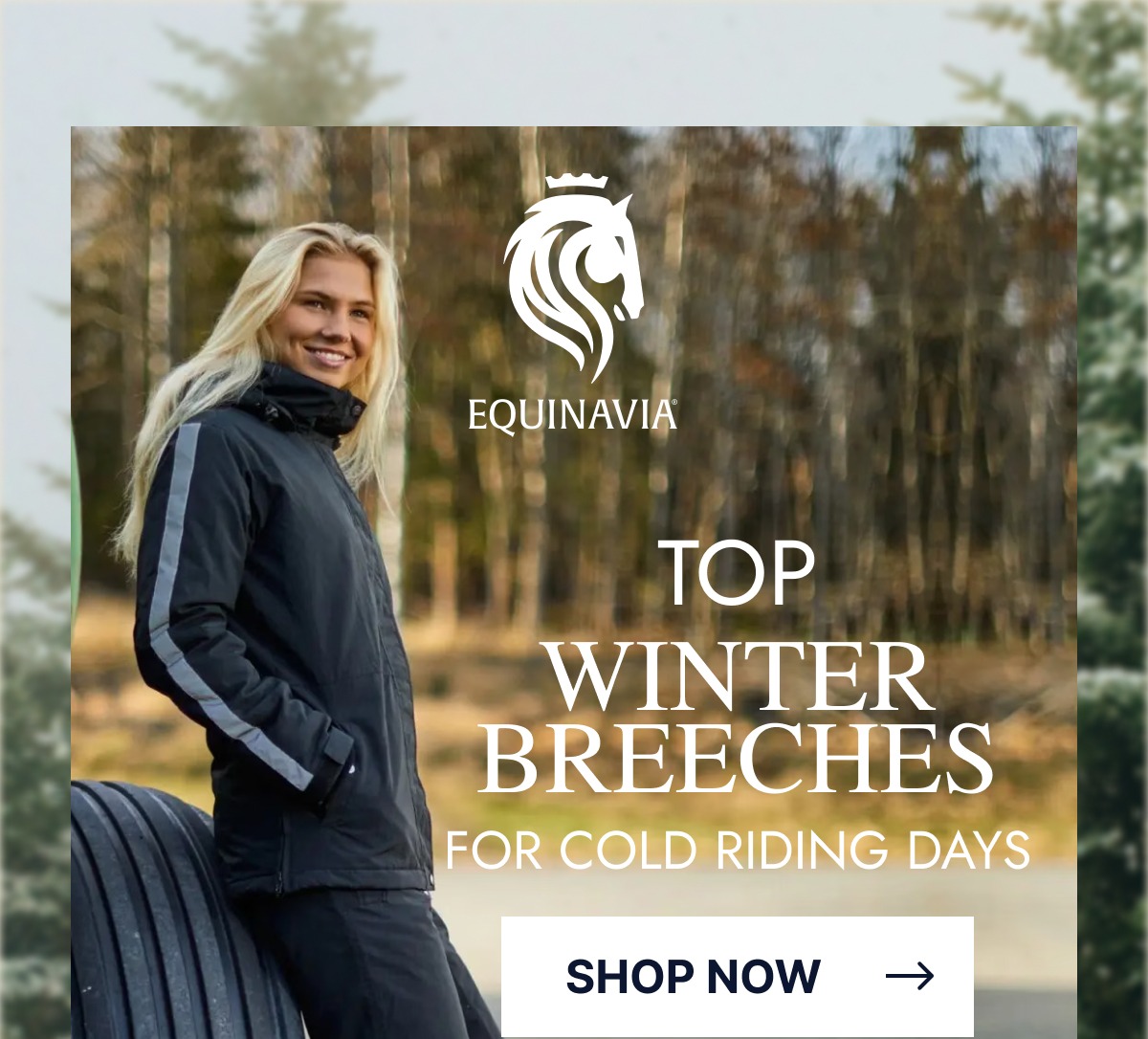 Shop Top Winter Breeches 