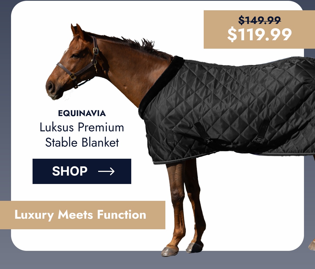 Equinavia Luksus Premium Stable Blanket