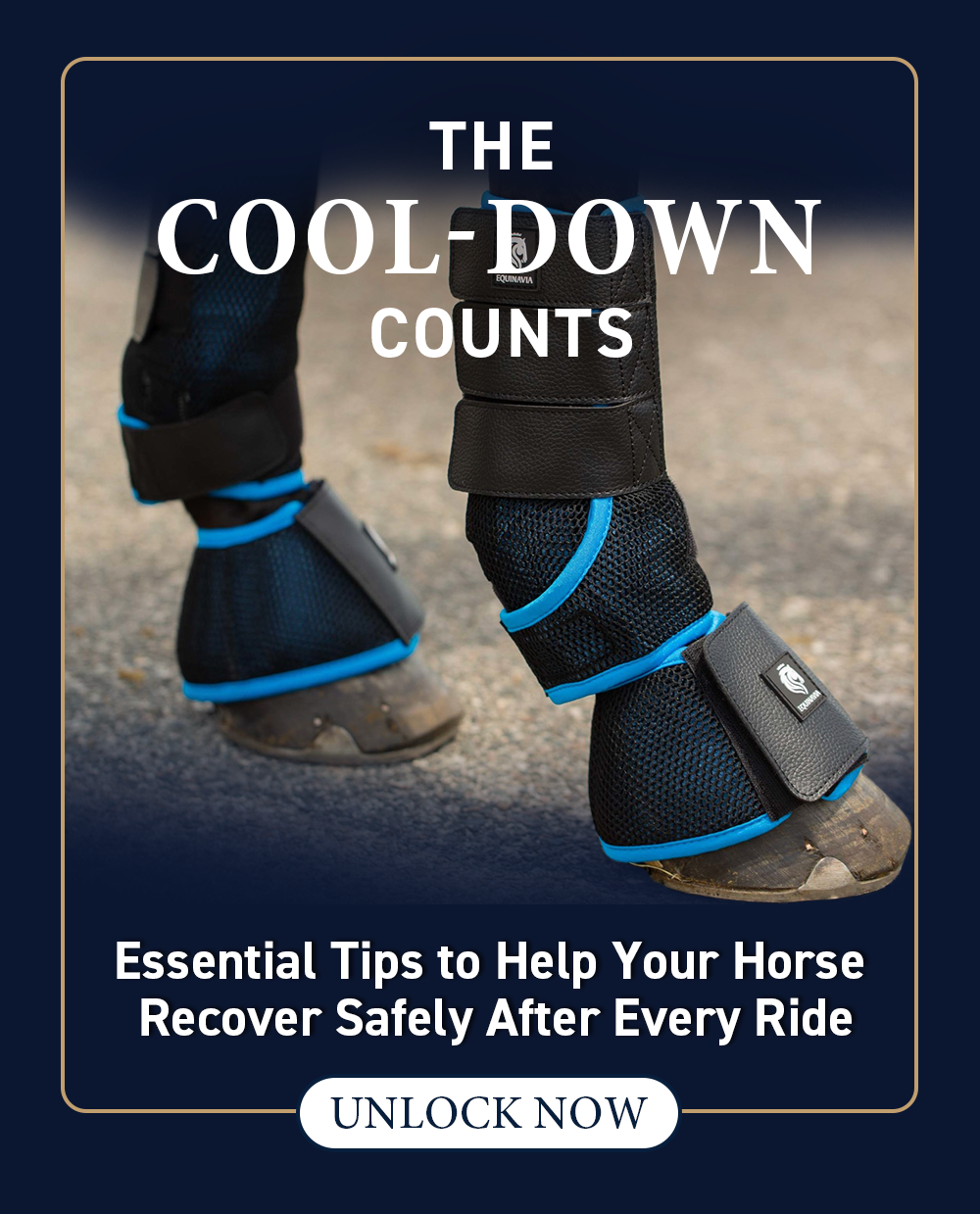 The Cool-Down Counts. Essential Tips to Help Your Horse Recover Safely After Every Ride.