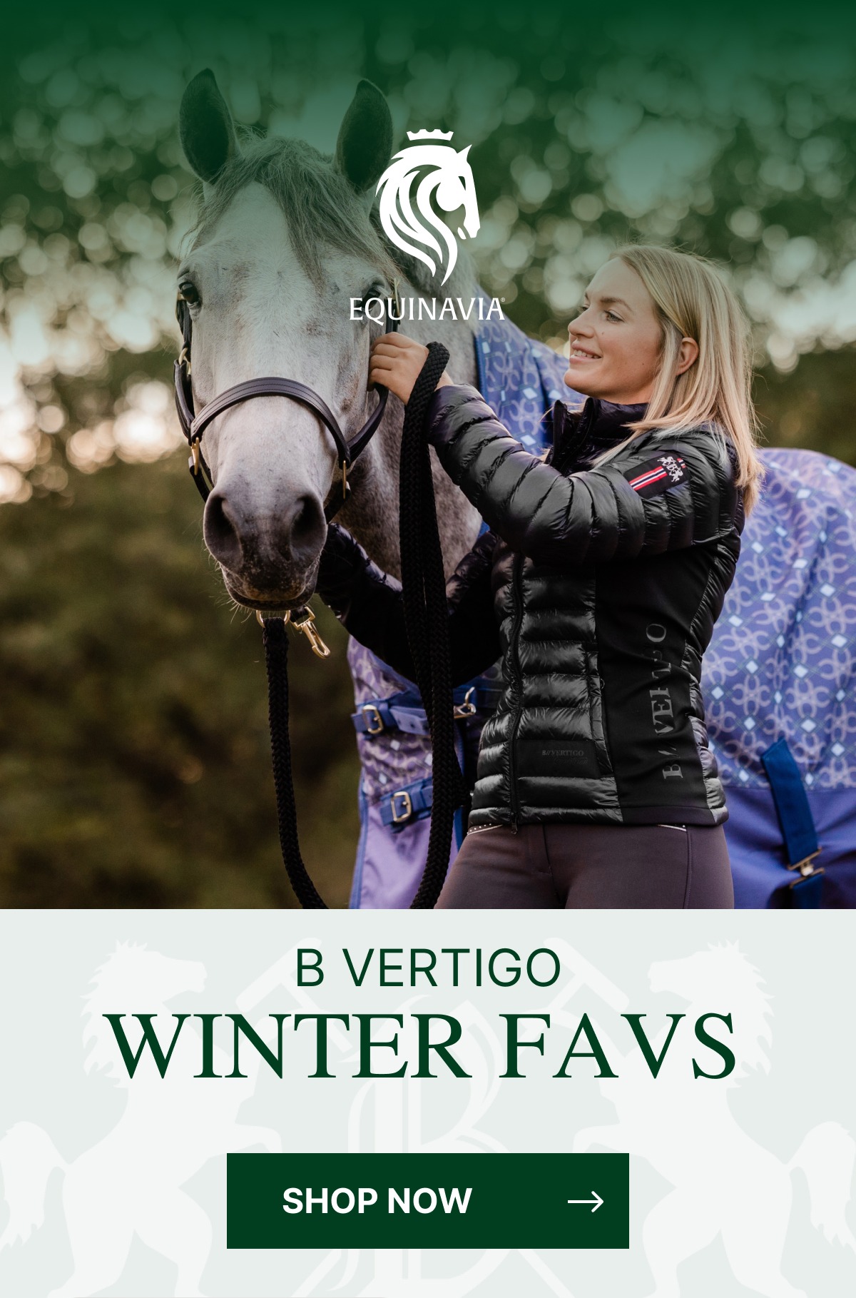 B Vertigo Winter Favs. Shop Now