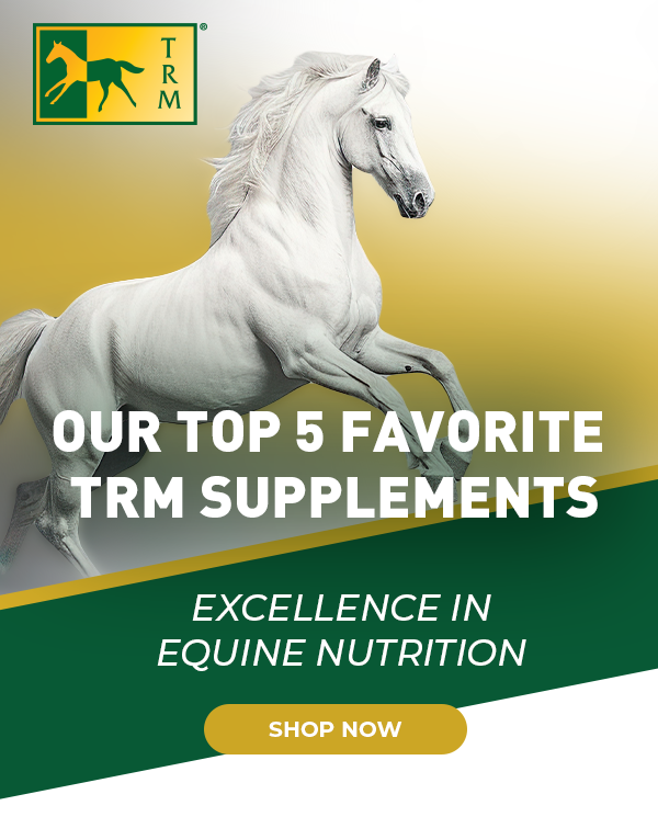 Our Top 5 Favorite TRM Supplements Excellence in Equine Nutrition