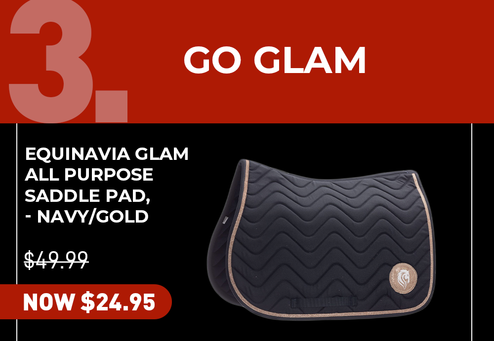 Equinavia Glam All Purpose Saddle Pad - Navy/Gold