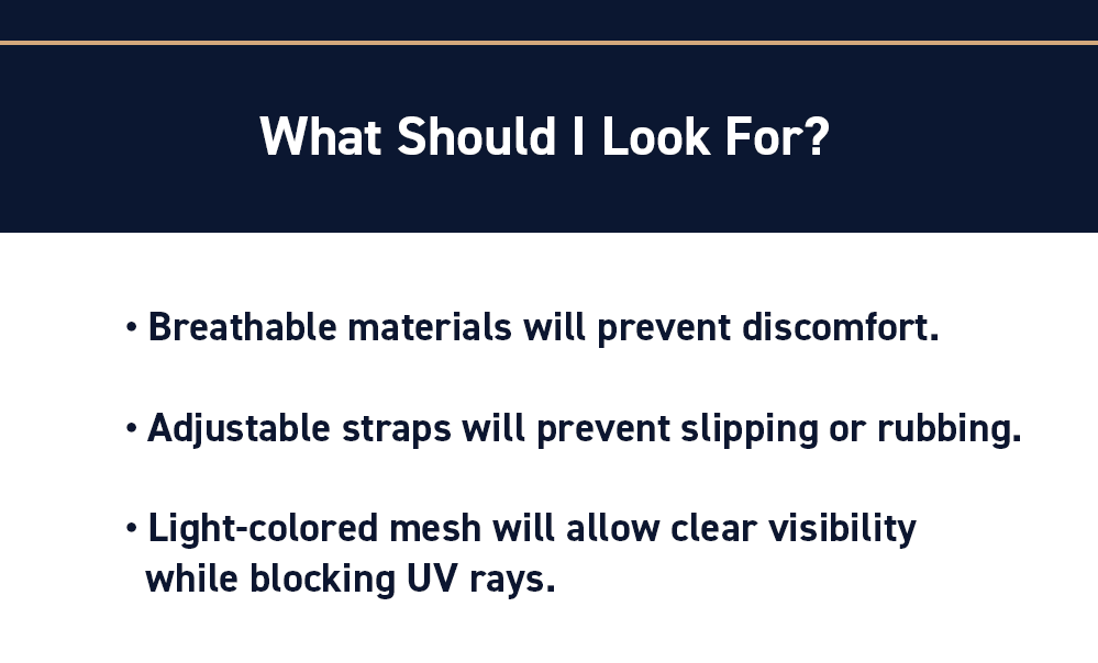 What Should I Look For?