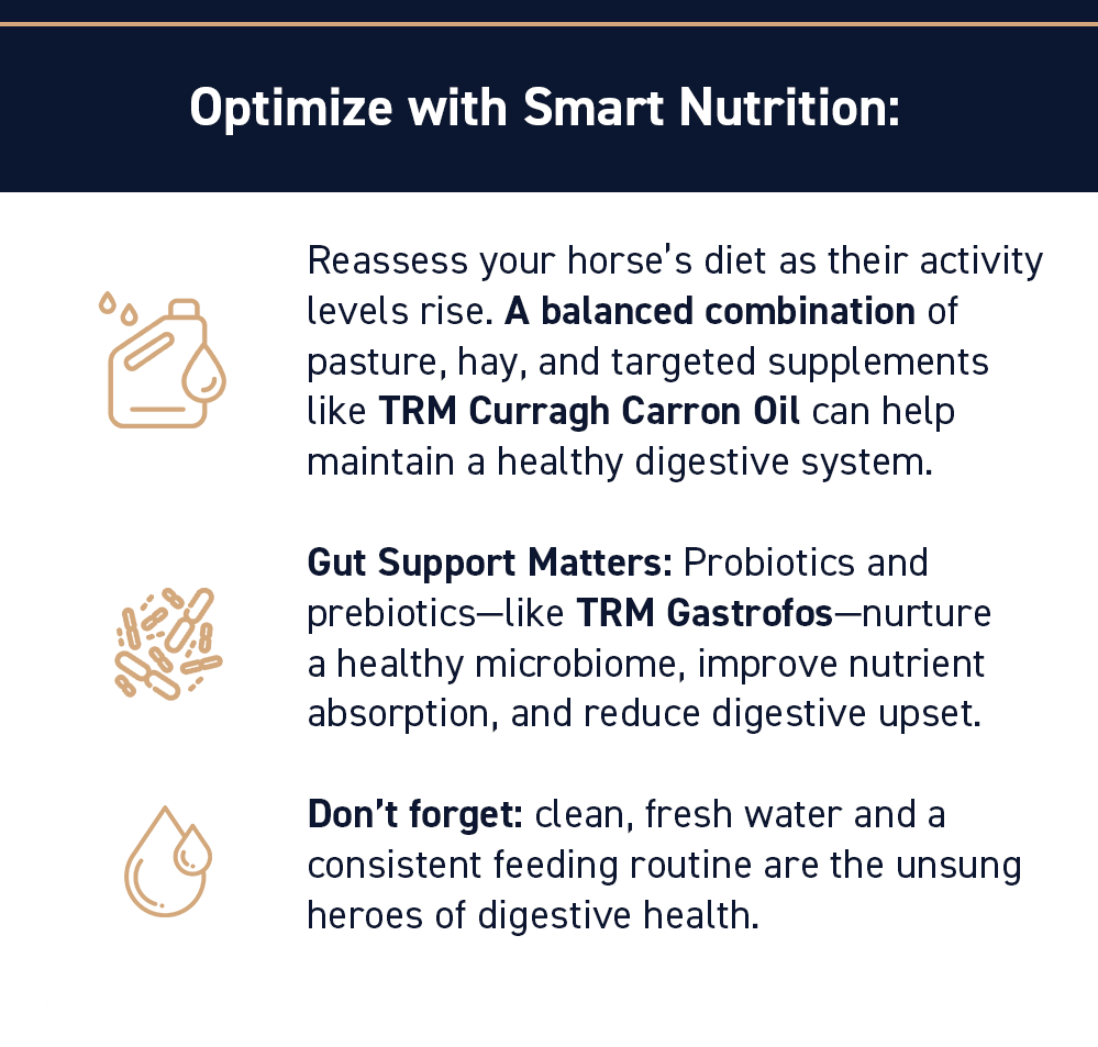 Optimize with Smart Nutrition: