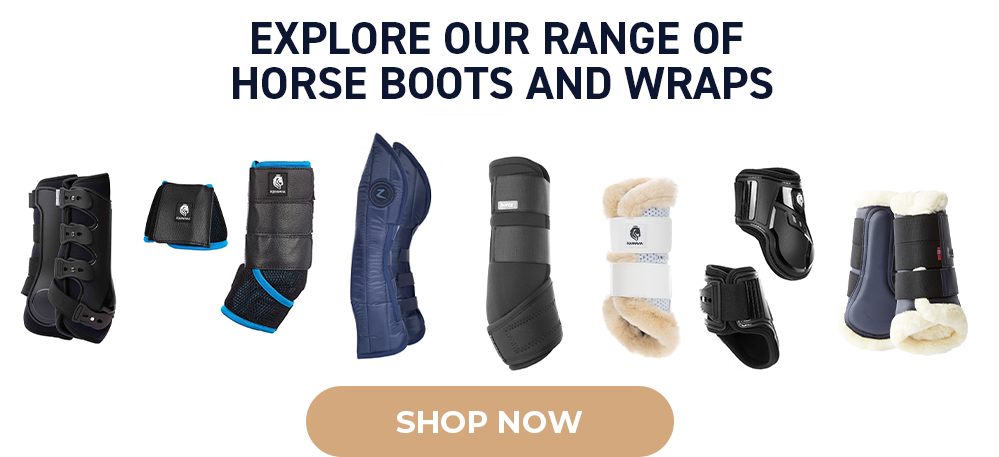 Explore Our Range of Horse Boots and Wraps