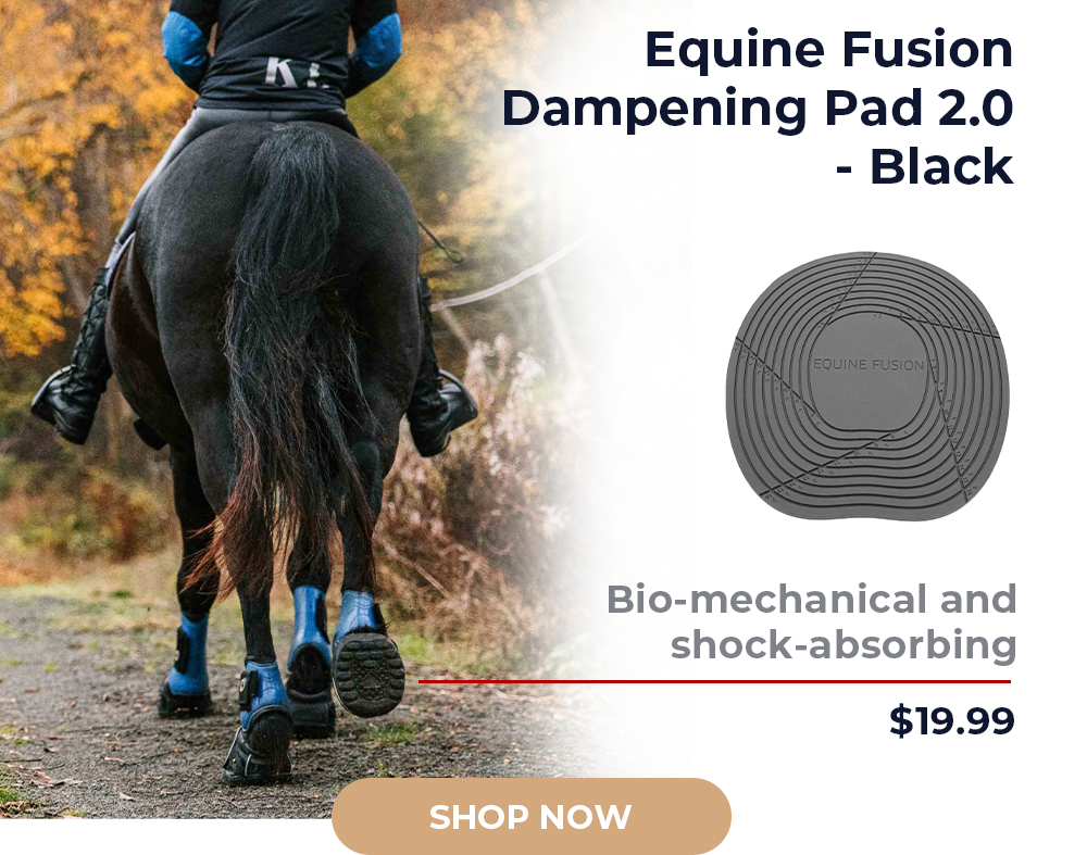 Equine Fusion Dampening Pad 2.0 - Black