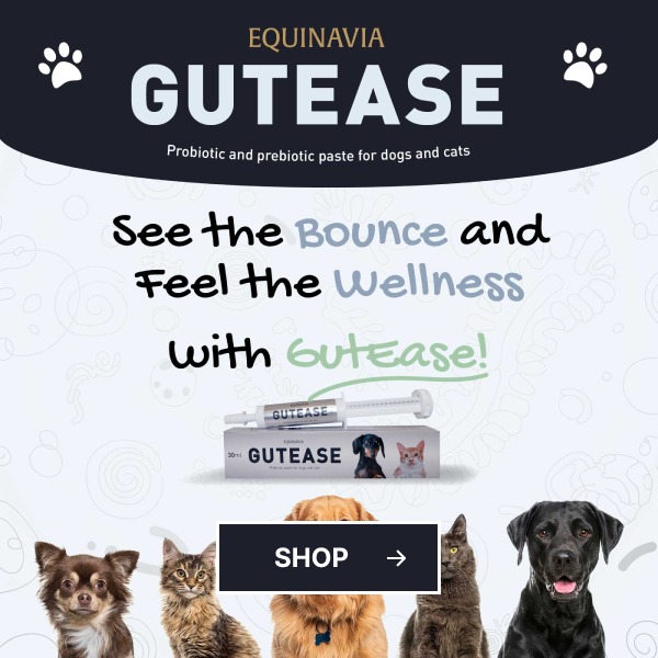 Equinavia GutEase. Shop