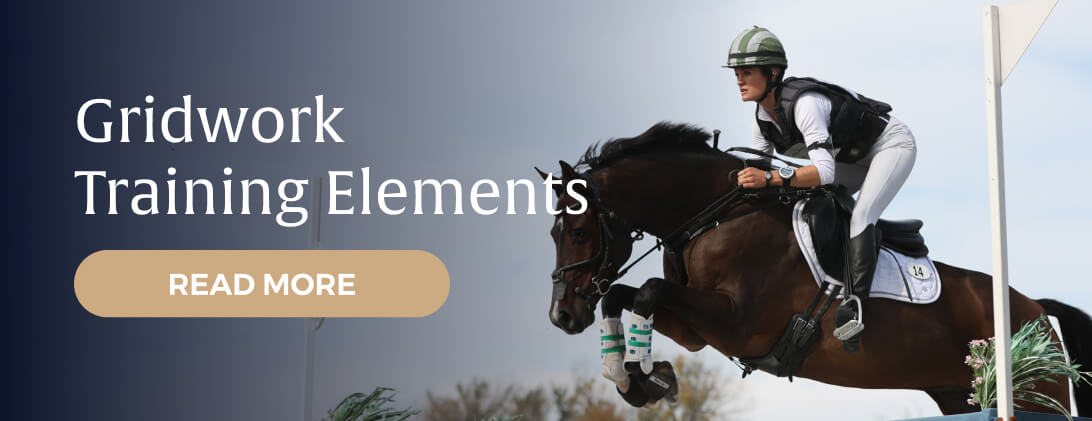 Gridwork Training Elements