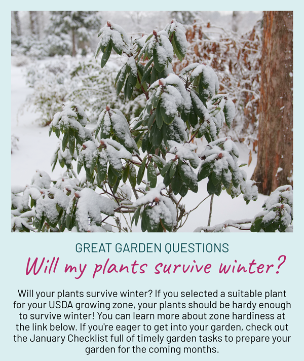 Will your plants survive the winter? Great Garden Plants