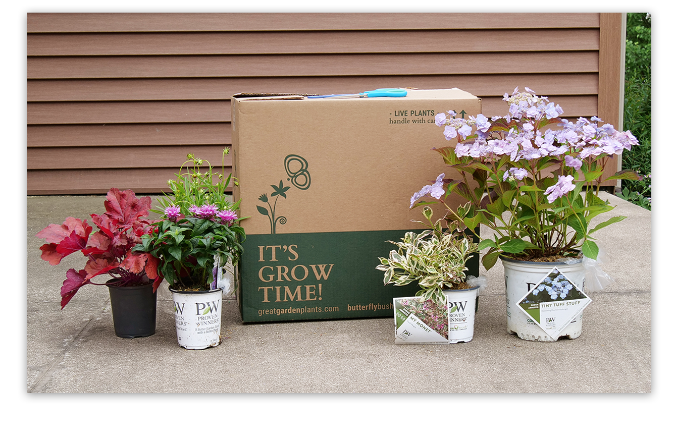 Fill your garden beds with 10 off sitewide! 💕 Great Garden Plants