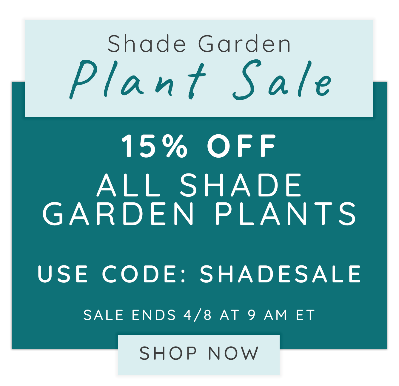 Loading...shade garden inspiration! ⛅ Great Garden Plants