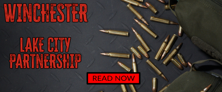 Winchester: Lake City Partnership