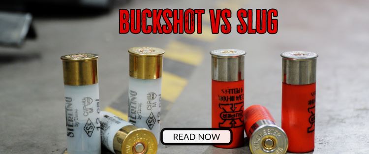 Buckshot VS Slug
