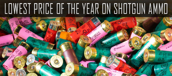 Shotgun ammo