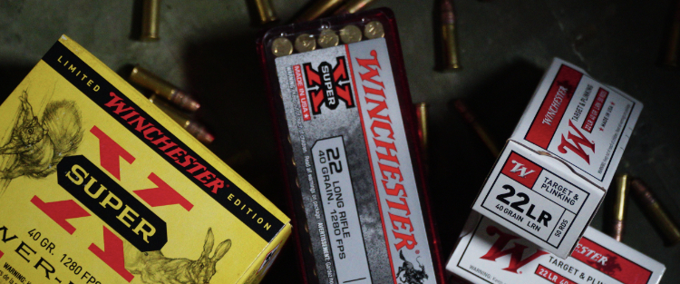 Winchester 22 LR 36 Grain HP