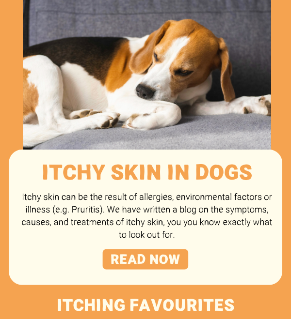 Does your dog have itchy skin? 🐶🤔 Pets Purest