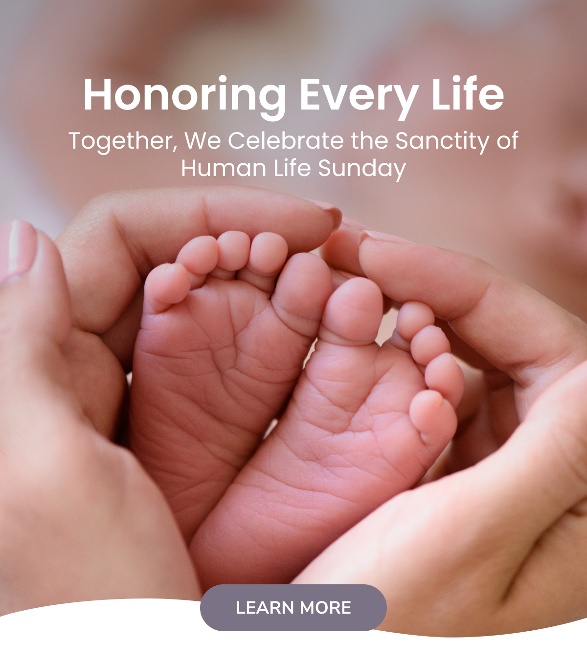 Honoring Every Life