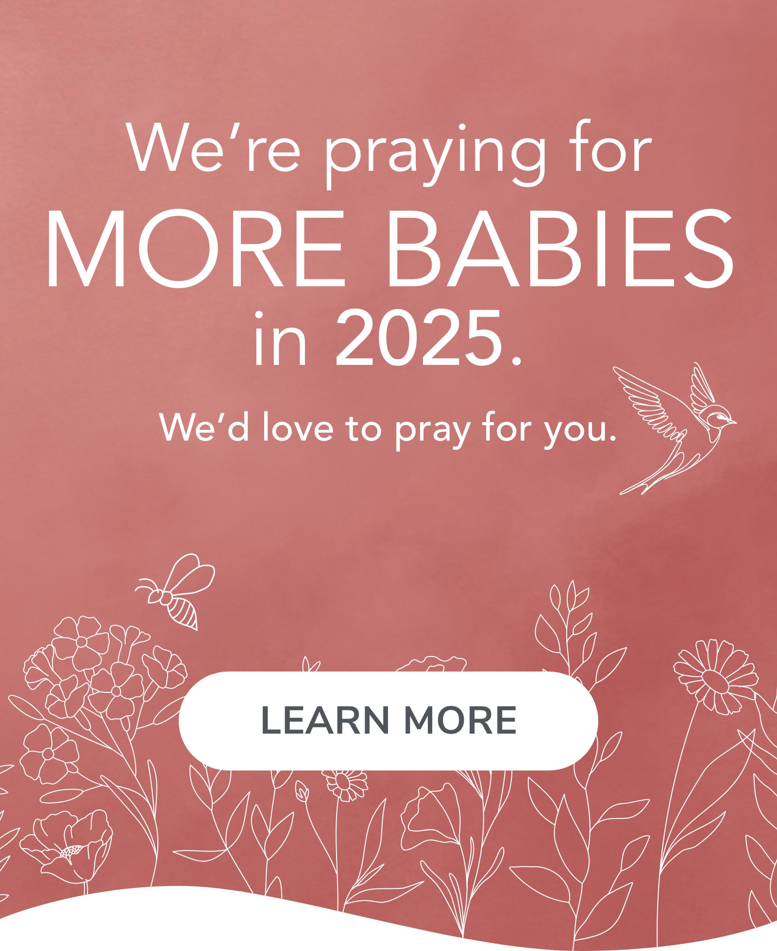 We're praying for more babies in 2025. We'd love to pray for you. LEARN MORE 