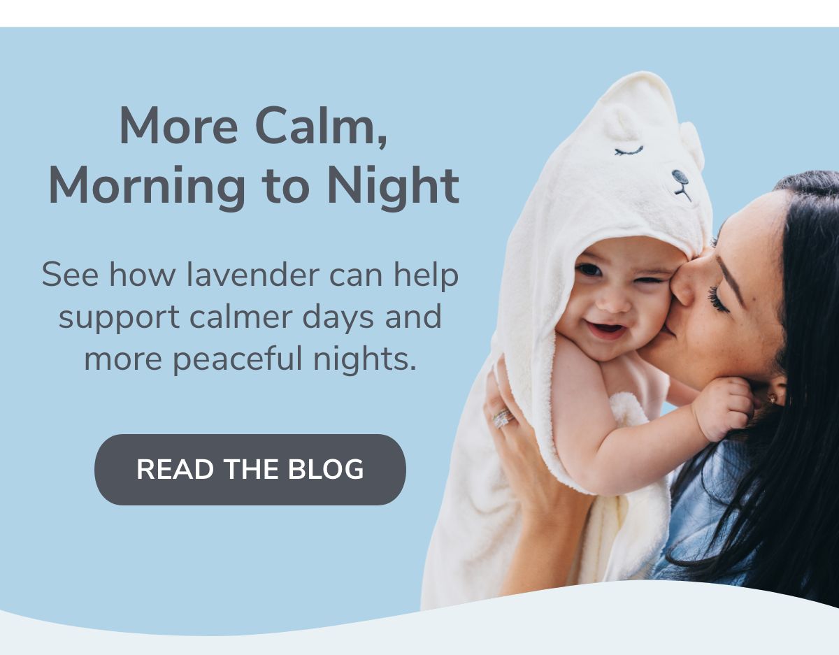 More Calm, Morning to Night. Read the Blog