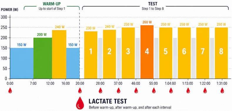 Graphic representation of the step test.