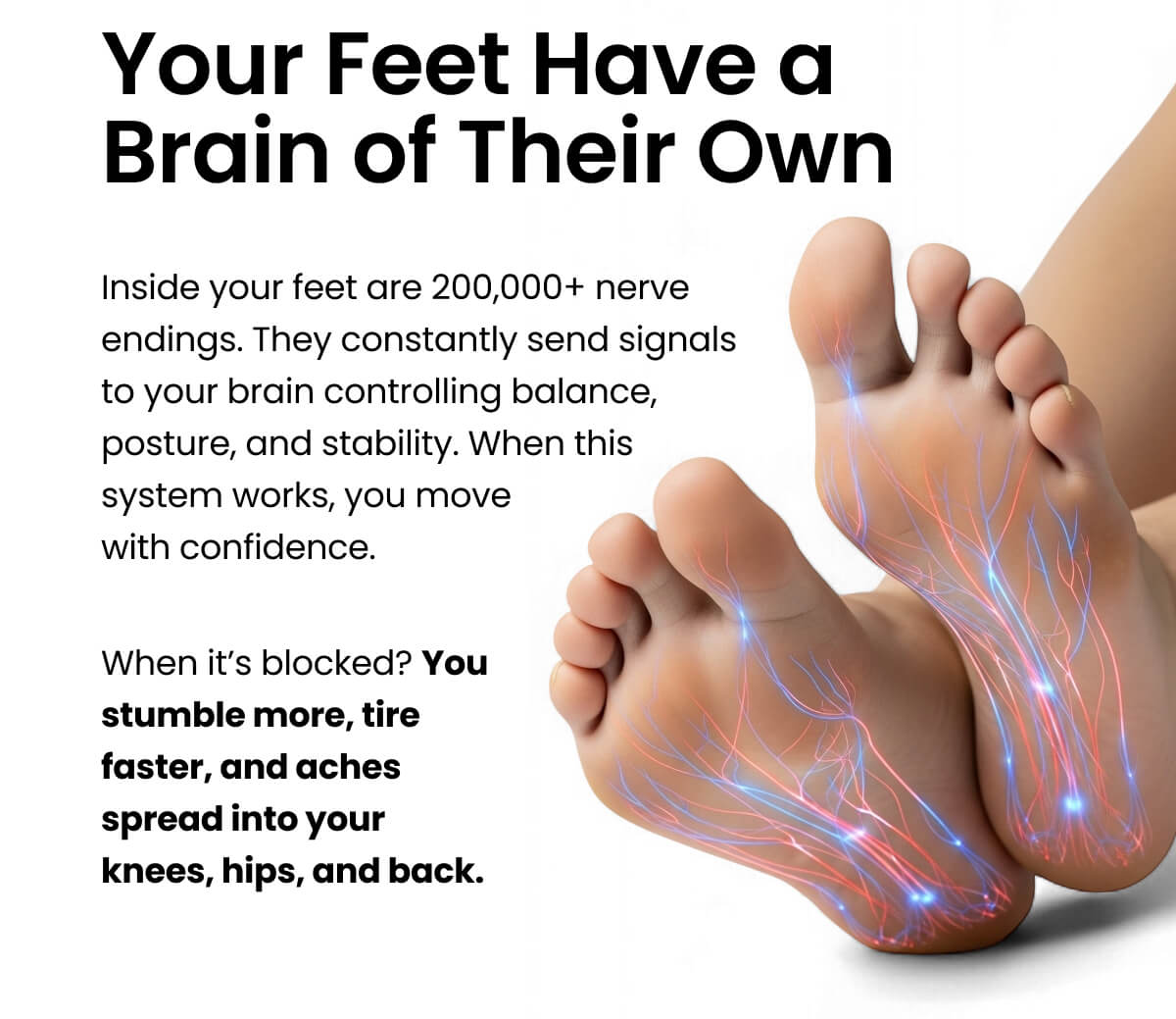 Your Feet Have a Brain of Their Own