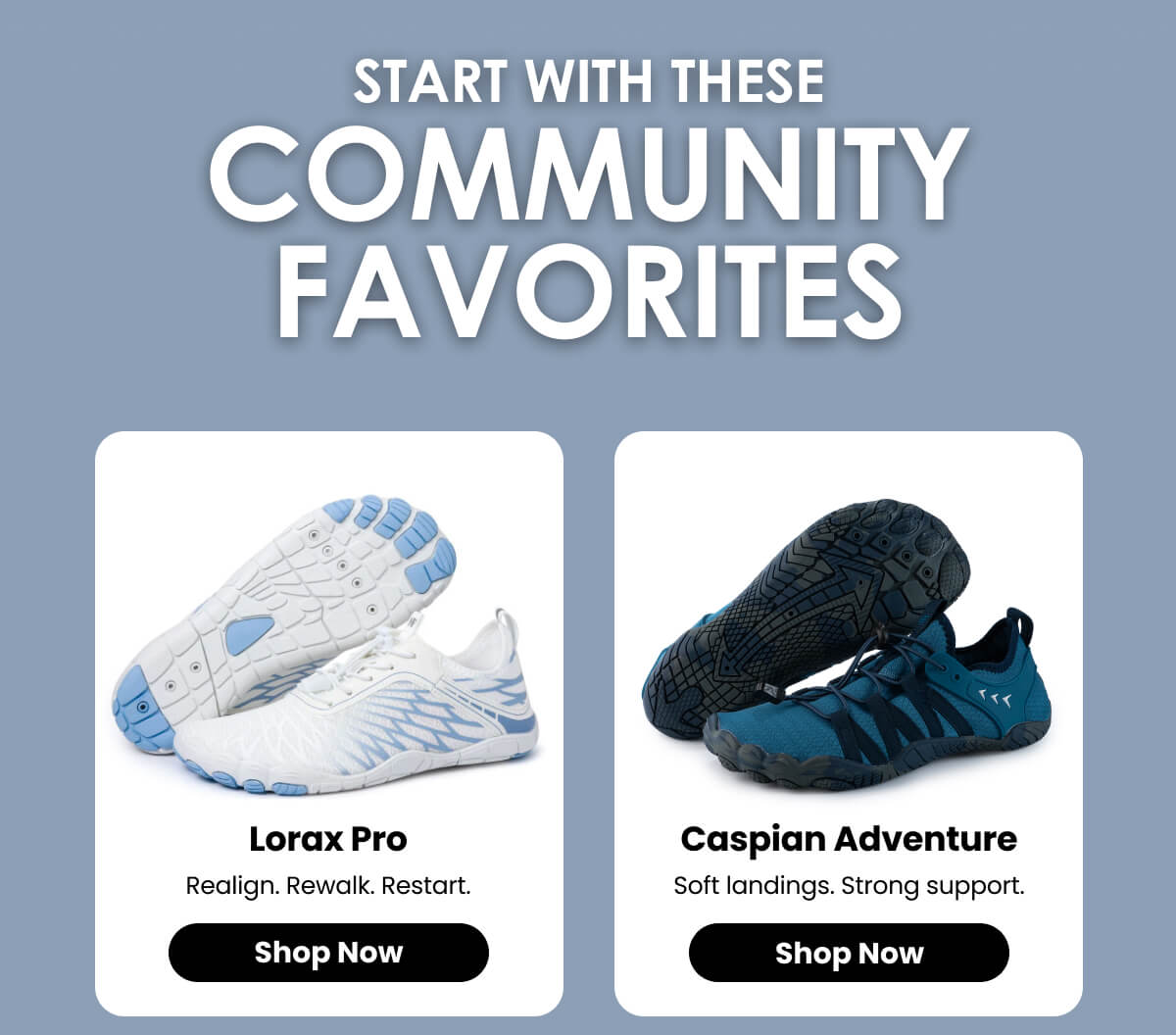 Lorax Pro and Caspian Adventure