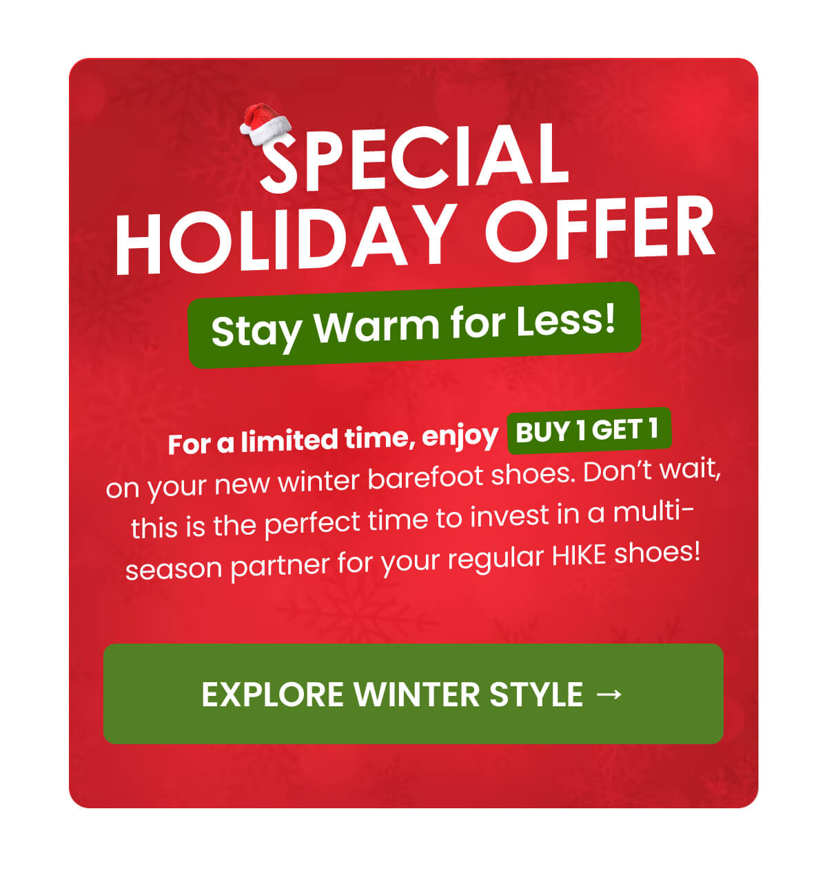 SPECIAL HOLIDAY OFFER