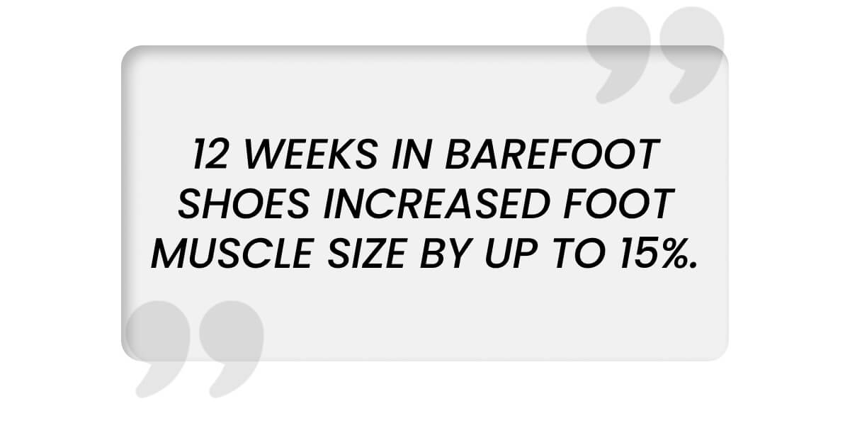 12 weeks in barefoot shoes increased foot muscle size by up to 15%.