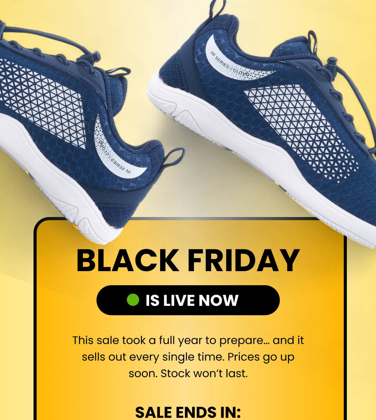 This sale took a full year to prepare. and it sells out every single time. Prices go up soon. Stock won't last.