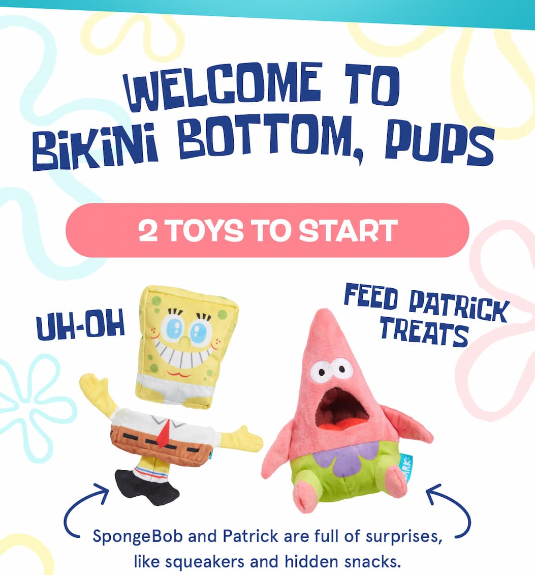 welcome to bikini bottom