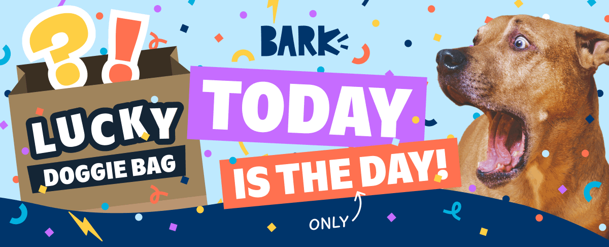 Lucky Doggie Bag: today is the day!