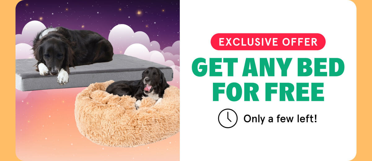 get any bed For Free