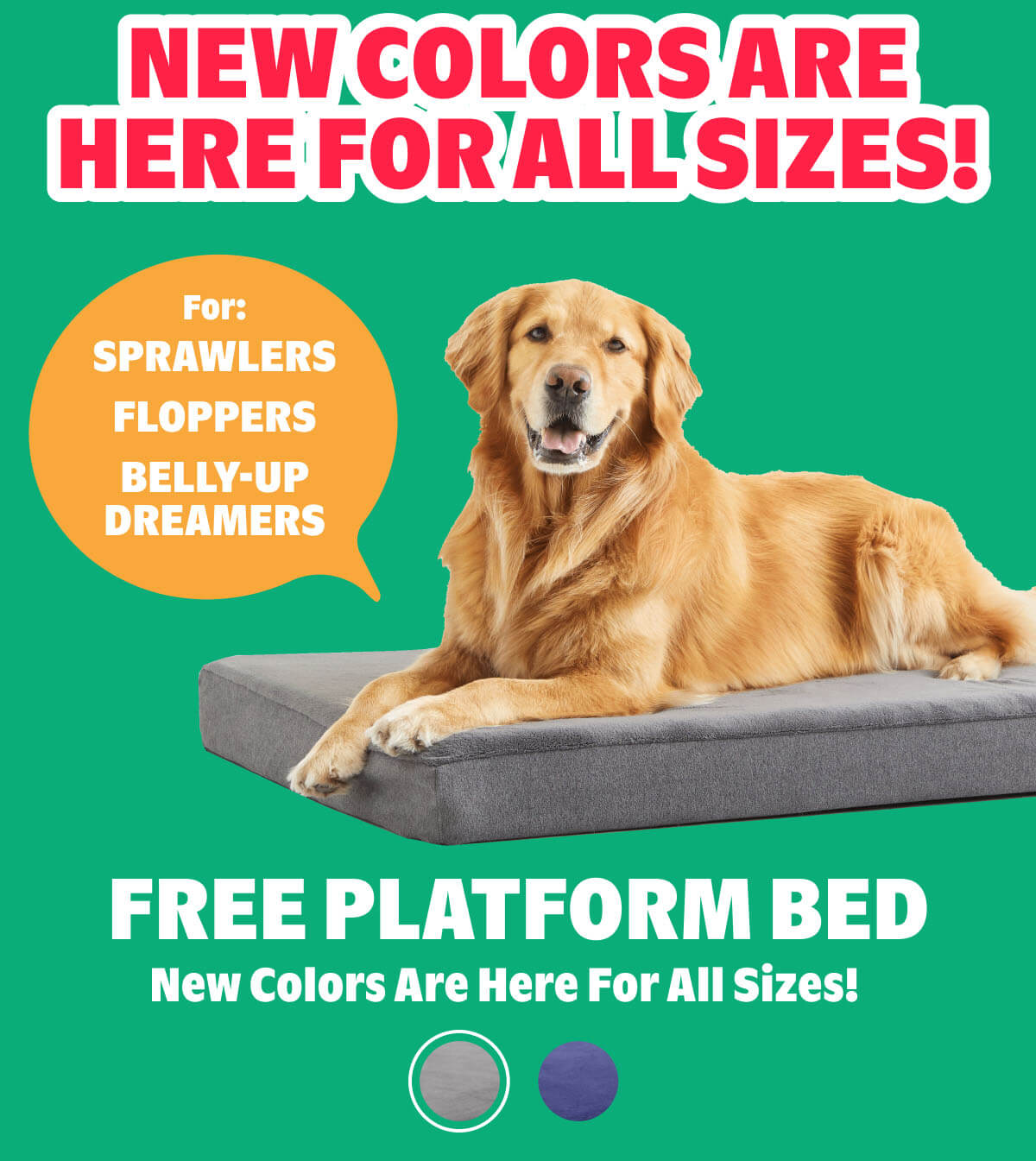 FREE Platform Bed
