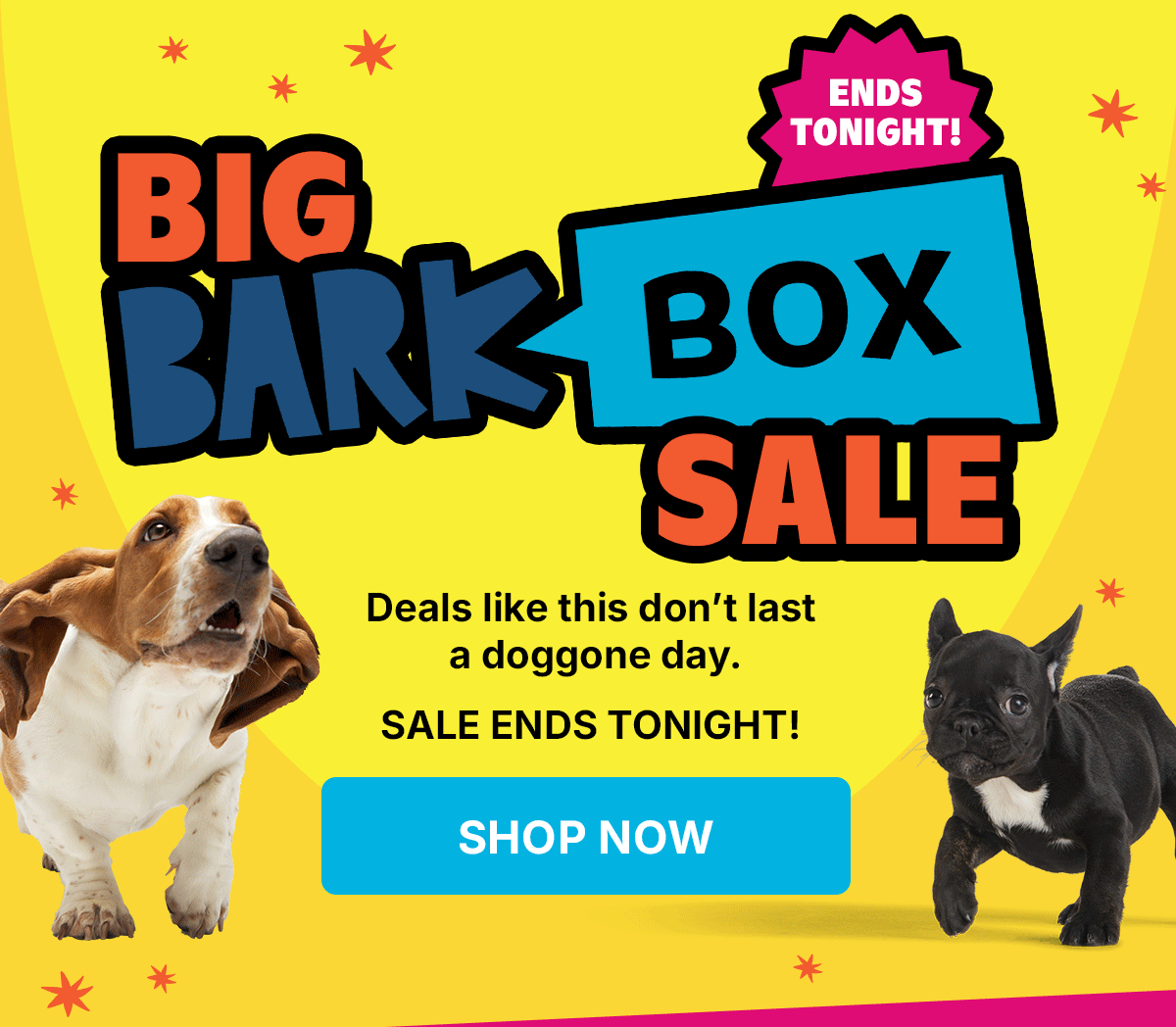 Big BarkBox Sale 